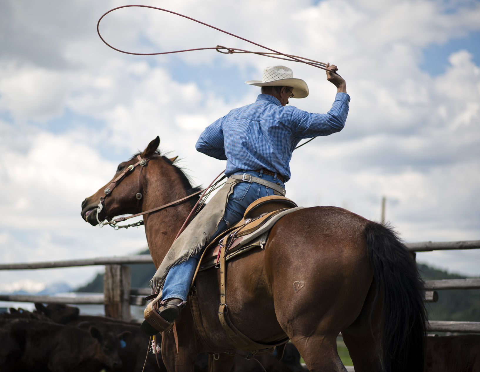 Mead Ranch branding